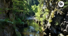 অসহায়ত্বের শেষ কথা